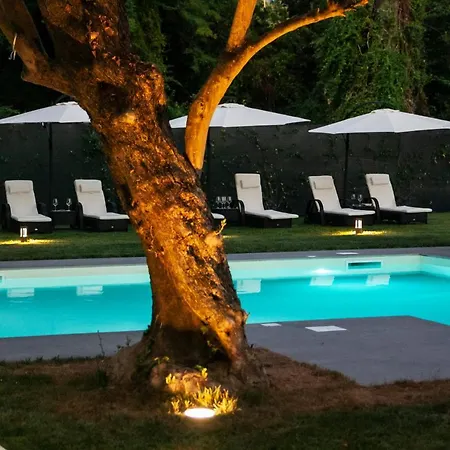 Viktoria Palace Hotel 4*