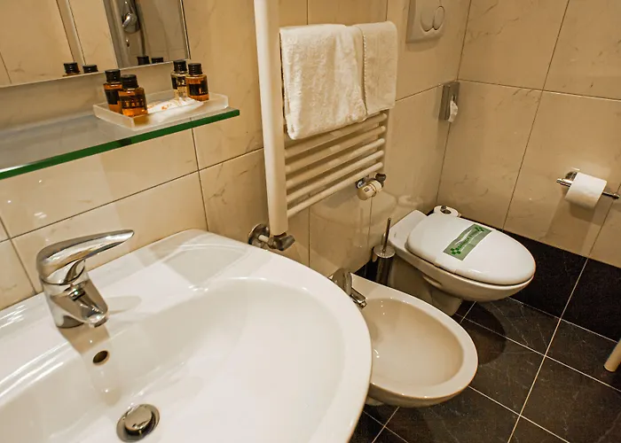 Hotel Viktoria Palace Lido de Venecia